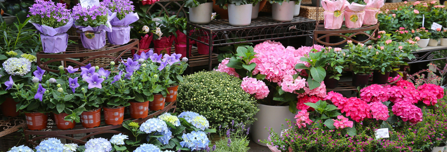 des fleurs en cadeau